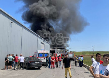 Si të shpëtojmë nga belatë me fjalët e urta popullore, sonte në Logjikonomia