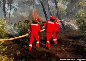 Lokalizohen zjarret në Shëngjin, në Tepelenë situatë alarmante