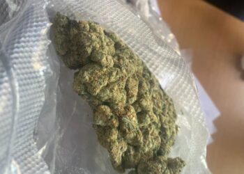 Dogana kap 1 kg kanabis që ishte nisur me postë nga ShBA-ja