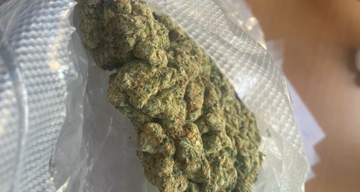 Dogana kap 1 kg kanabis që ishte nisur me postë nga ShBA-ja