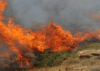 Rreziku i zjarreve në Kosovë, Policia bën thirrje për kujdes, paralajmëron masa ligjore