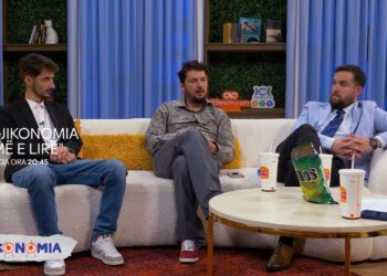 Sonte në Logjikonomia “temë e lirë”