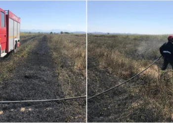 Tjetër vatër zjarri në Durrës, dyshime për zjarrvënie të qëllimshme