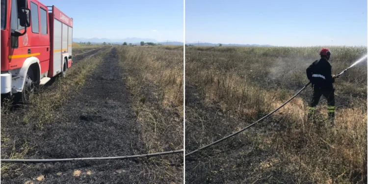 Tjetër vatër zjarri në Durrës, dyshime për zjarrvënie të qëllimshme