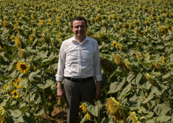 Kurti viziton fushën e mbjellur me luledielli në Ferizaj