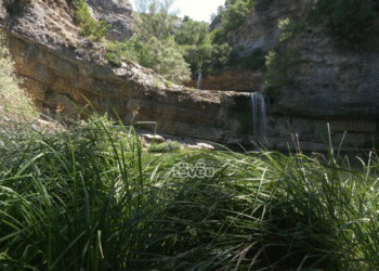 Vizitorët e Ujëvarave të Mirushës ankohen për mungesë të infrastrukturës