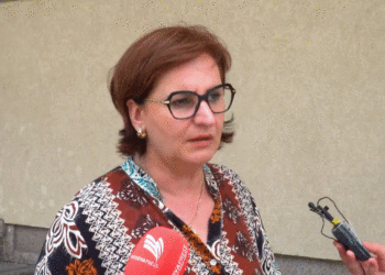 Disha-Haxhosaj: Gjashtë persona të arrestuar në aksionin e sotëm në Pejë