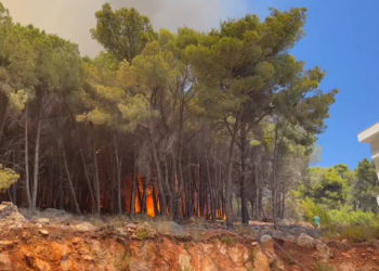 Shëngjini në flakë, u rrezikuan banesa e resorte turistike! Flet kreu i zjarrfikësve