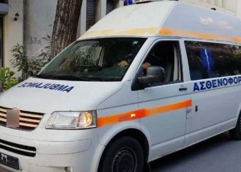 Vdes 23- vjeçari me autizëm, u la në veturë për orë të tëra në temperatura të larta, arrestohen dy prindërit