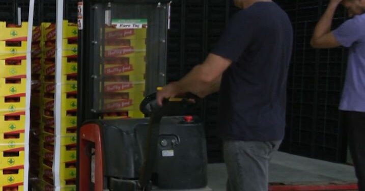 Vetëm 14 inspektorë fito-sanitarë