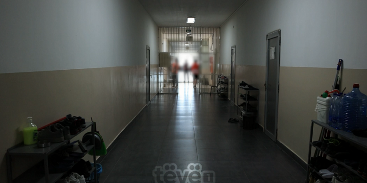 Smrekonica me siguri minimale, Qendra Korrektuese pa pengesa dhe mure të larta