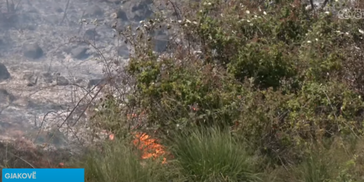 Pse ende aktive zjarret në fshatin Babaj të Bokës?