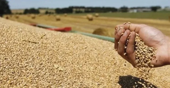 Peci: Kosova siguron bukën e motmotit