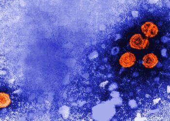 Dita Botërore e Hepatitit