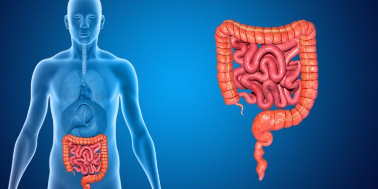 Arsyeja pse shumë njerëz kanë probleme me kapsllëk gjatë verës