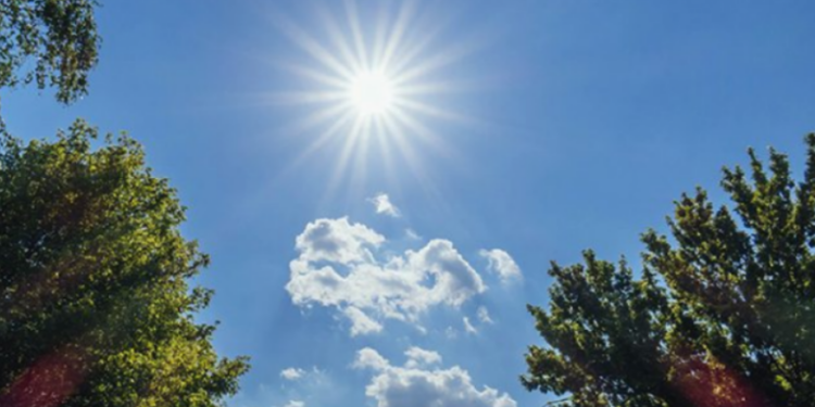 Parashikimi i motit për sot