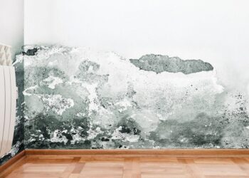 Lagështira apo thatësira cila e ndikon më shumë gjumin e mirë