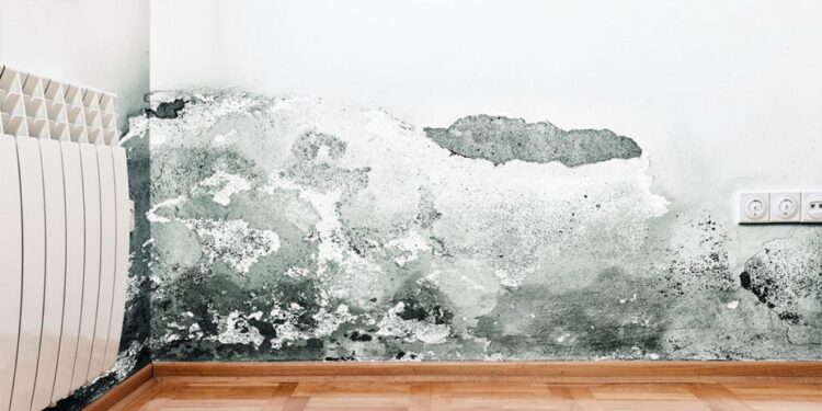 Lagështira apo thatësira cila e ndikon më shumë gjumin e mirë