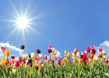 Merrni diell – përfitoni vitaminën D, energjinë e jetës