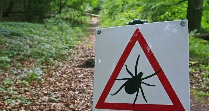 Mbi 800 persona të pickuar nga rriqrat në Malishevë