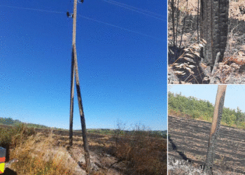 Dëmtohen disa asete të KEDS-it nga zjarret e shkaktuara nga pakujdesia