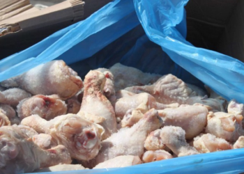 AUV ngrit masat e kontrollit për ngarkesat që vijnë nga Brazili pas shpërthimit të sëmundjes Newcastle