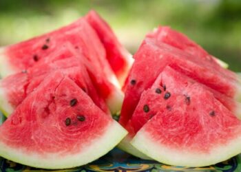 Çfarë ndodh me trupin tuaj nëse hani shumë shalqi?