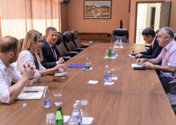 Szunyog nga veriu: Kosova e Serbia të angazhohen në dialog