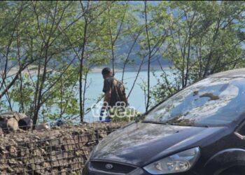 Shea: Situata në veri mbetet e brishtë