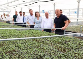 Haradinaj: Investimi në bujqësi është investim me prioritet