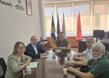 LDK pret në takim SBASHK-un: Do të vazhdojmë për të mbështetur përpjekjet për përmirësimin e cilësisë së arsimit