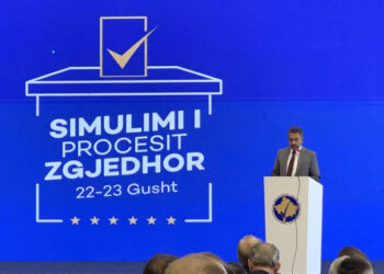 ​Ligji i ri për zgjedhjet e përgjithshme, Radoniqi: Zbatimi do të jetë sfidues në zgjedhjet e 9 shkurtit