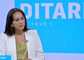 Fejza: Hapja e urës nuk po bëhet për fushatë elektorale