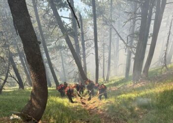 Zjarret në Prevallë ende aktive, pritet intervenim nga ajri