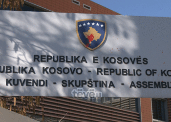 8 arsye pse duhet të konsumoni më shpesh selino