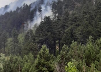 MPB: S’ka rrezik për jetë nga zjarret në Prevallë, po kryhen operacionet për fikje