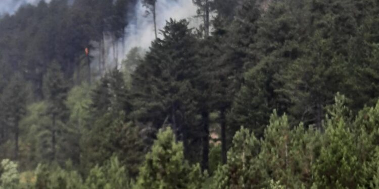 MPB: S’ka rrezik për jetë nga zjarret në Prevallë, po kryhen operacionet për fikje