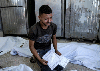 Binjakët e sapolindur vriten nga një sulm izraelit në Gazë derisa babai i tyre po i regjistronte