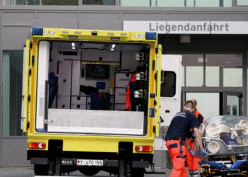 Sëmundjet kardiovaskulare janë shkaktaret më të mëdha të vdekjeve në Gjermani