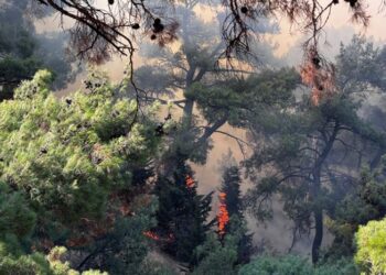 Shpërthejnë zjarret në Turqinë perëndimore