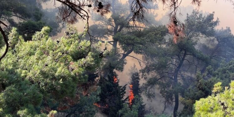 Shpërthejnë zjarret në Turqinë perëndimore