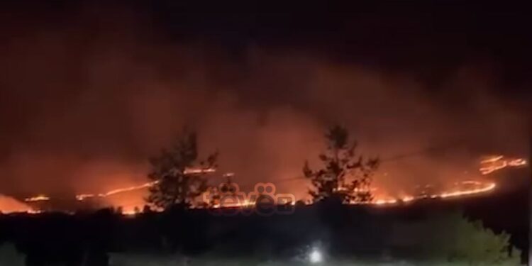 Bashkëluftëtarët e kujtojnë dëshmorin Fehmi Kastrati