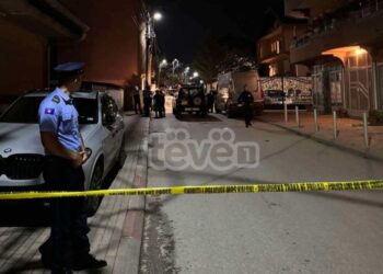 Detaje nga rasti ku një grua vrau mbrëmë kunatin e saj në Prishtinë