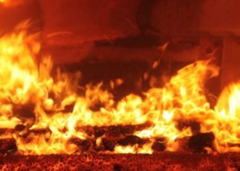 Digjet një fidanishte në Vushtrri, rasti po hetohet