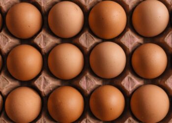 Ushqimet që duhet të hani nëse jeni anemikë