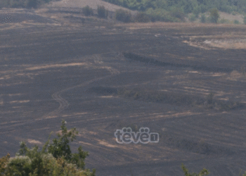 Digjen rreth 50 hektarë hamullore në Opterushë, zjarrëfikësit arritën ta shuajnë zjarrin pas 6 orëve