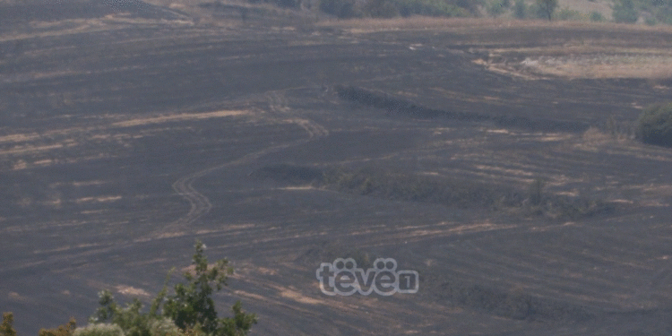 Digjen rreth 50 hektarë hamullore në Opterushë, zjarrëfikësit arritën ta shuajnë zjarrin pas 6 orëve