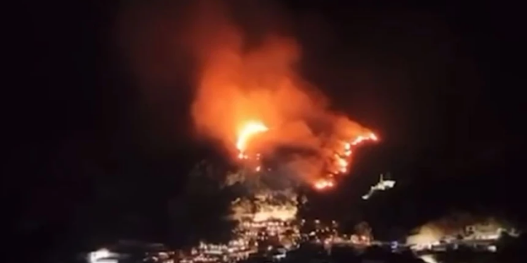 Nga fishekzjarrët u dogj një pjesë e pyllit, arrestohet 28-vjeçari në Dhërmi