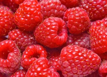 Ushqimet më të shëndetshme që duhen ngrënë bashkë