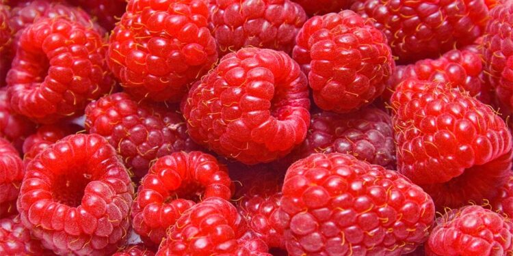 Ushqimet më të shëndetshme që duhen ngrënë bashkë